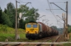 #66005 [Freightliner PL]