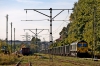#66005 [Freightliner PL]