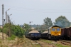 #66011 [Freightliner PL]