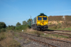 #66011 [Freightliner PL]
