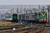 SM31-131 [PKP Cargo]
