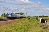 EU44-006 [PKP InterCity]