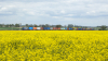 EU07-114 [PKP Cargo]
