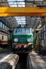 ET22-631 [PKP Cargo]