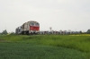 M62-1200 [Ciech Cargo]