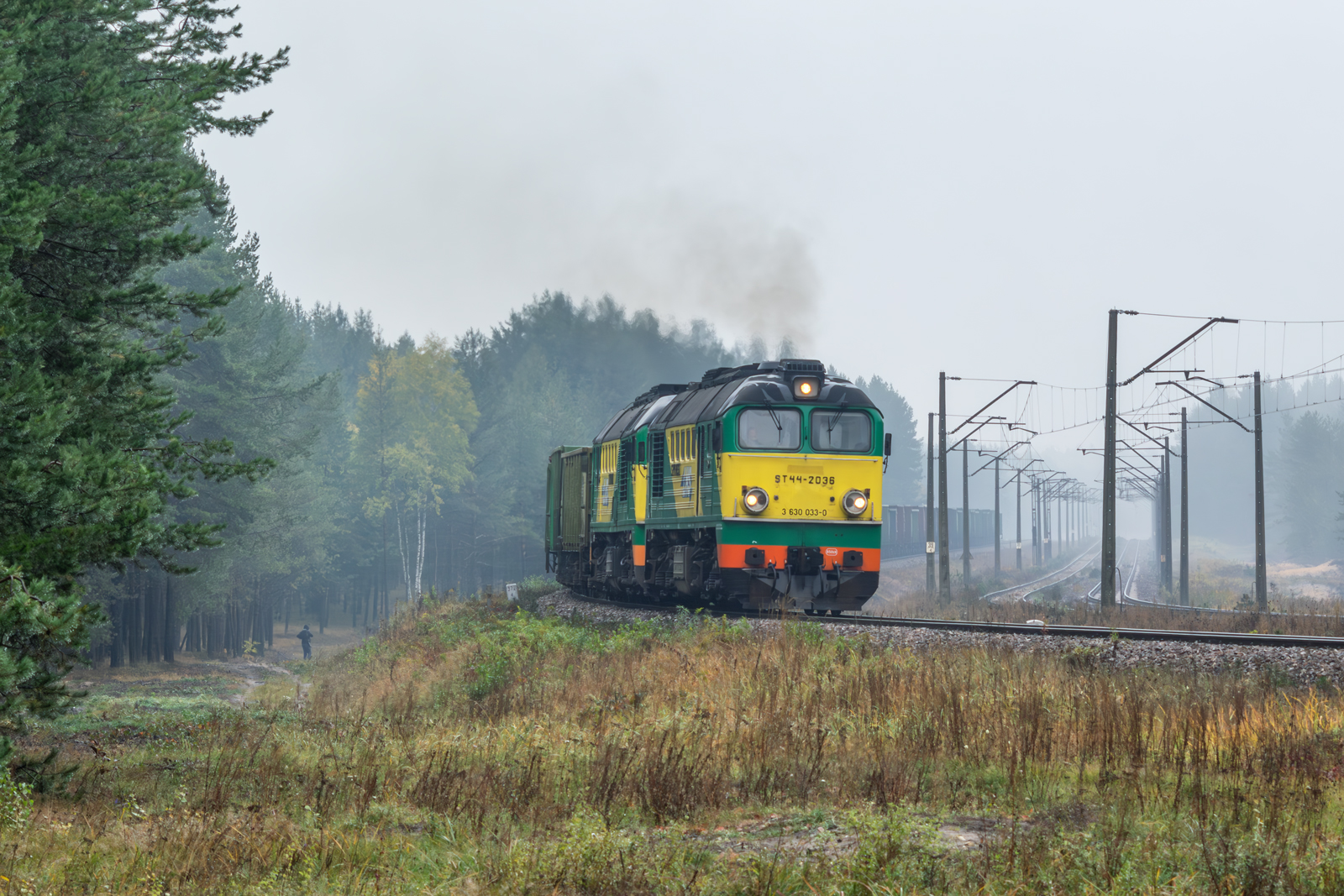 ST44-2036 [Linia Hutnicza Szerokotorowa]