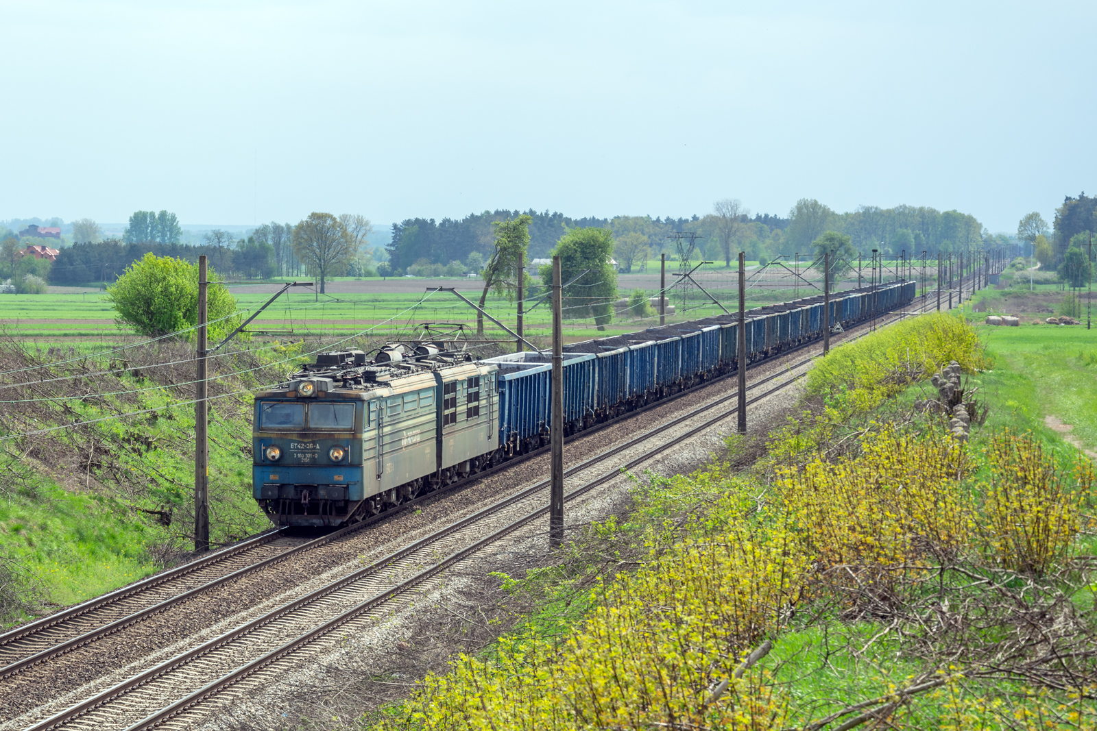 ET42-36 [PKP Cargo]