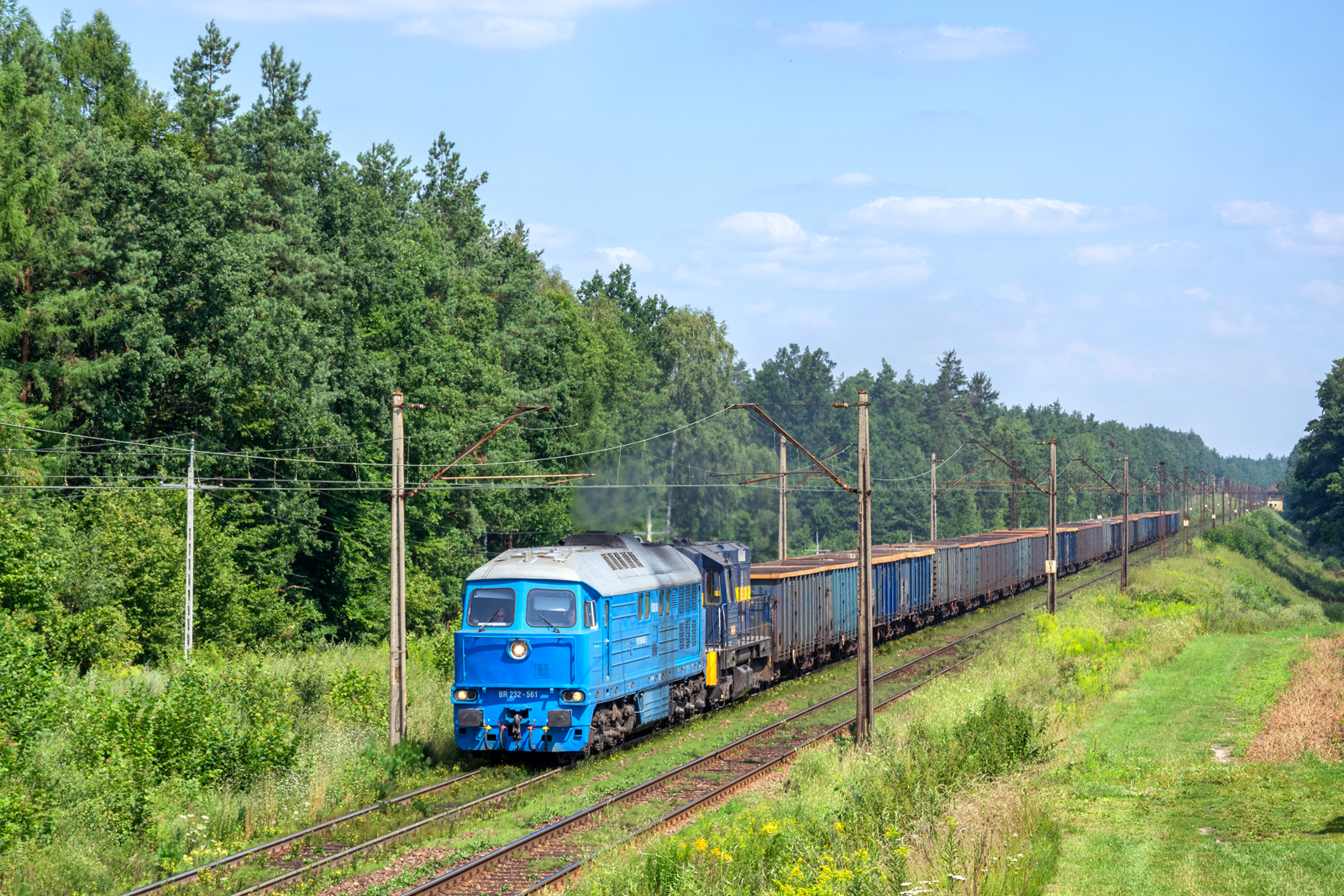BR232-561 [Ciech Cargo]