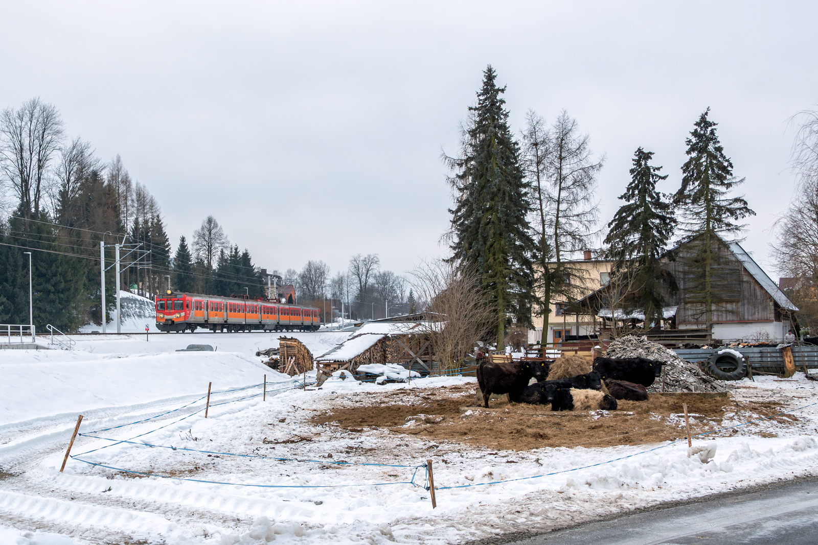 EN57-1373 [Polregio]