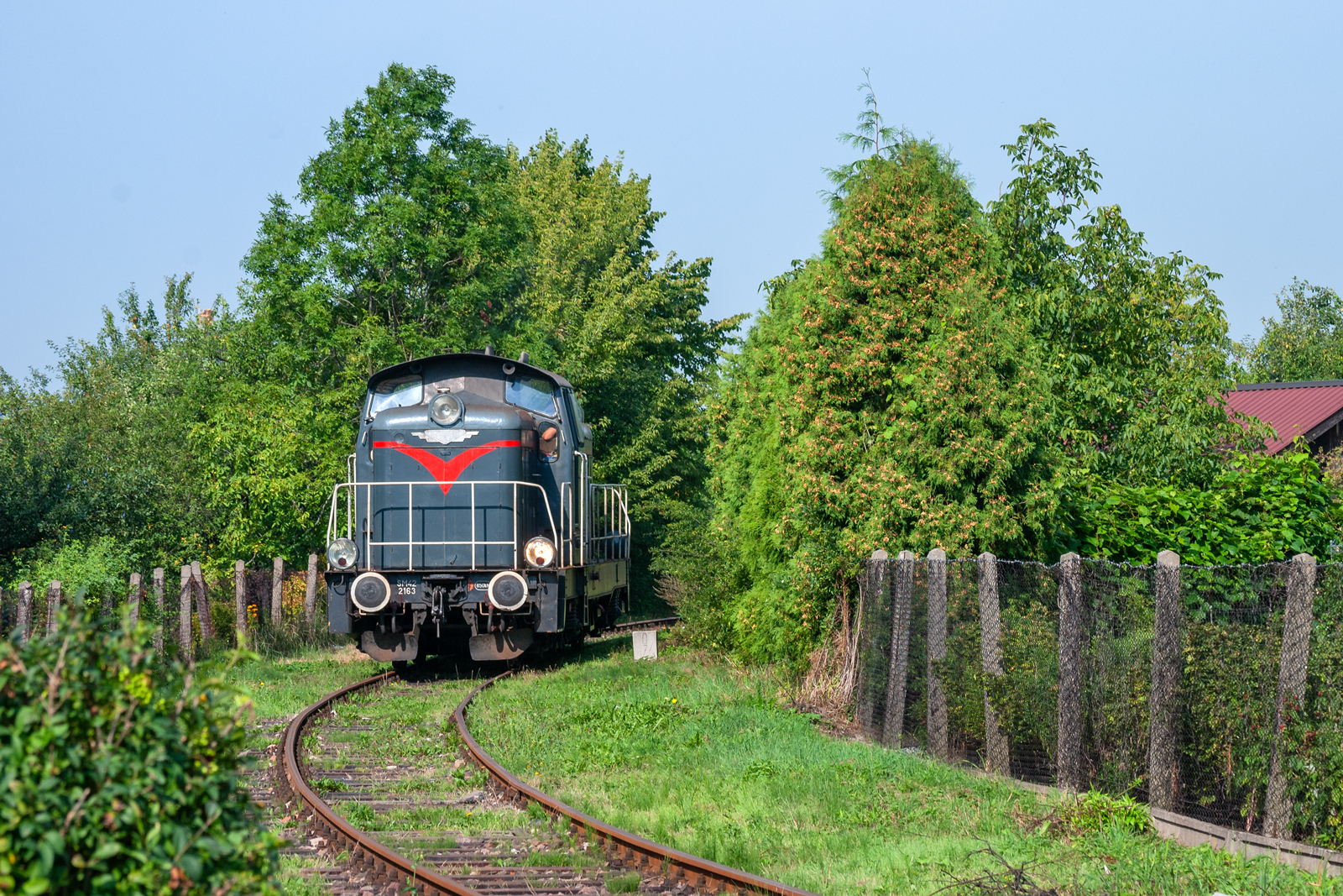 SM42-2163 [Wiskol / del. Lotos Kolej]