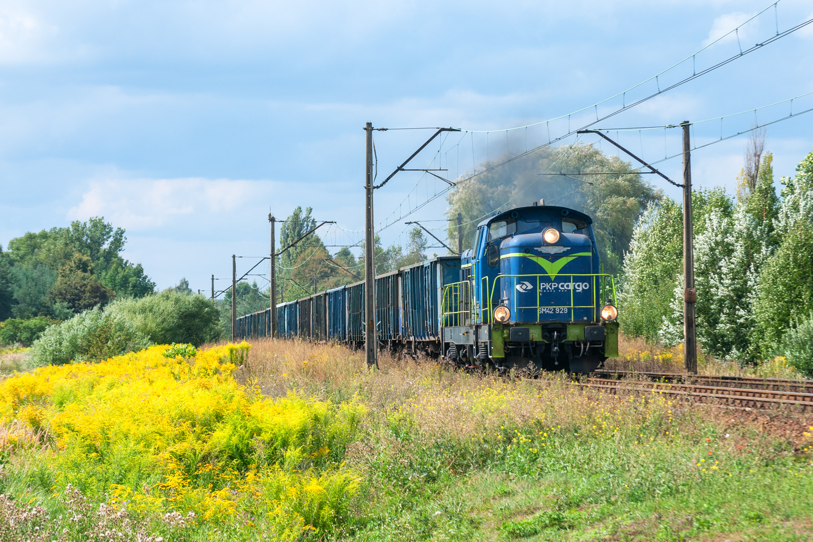 SM42-929 [PKP Cargo]