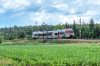L-4268-008 [Łódzka Kolej Aglomeracyjna]