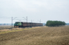 EL2-02 [KWB Konin]