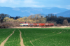 751 084-5 [ZSSK Cargo]
