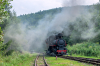 Kp4-3772