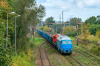 BR232-789 [Depol]